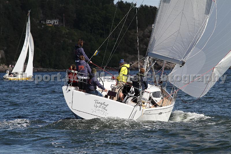 faerder2016 519.JPG